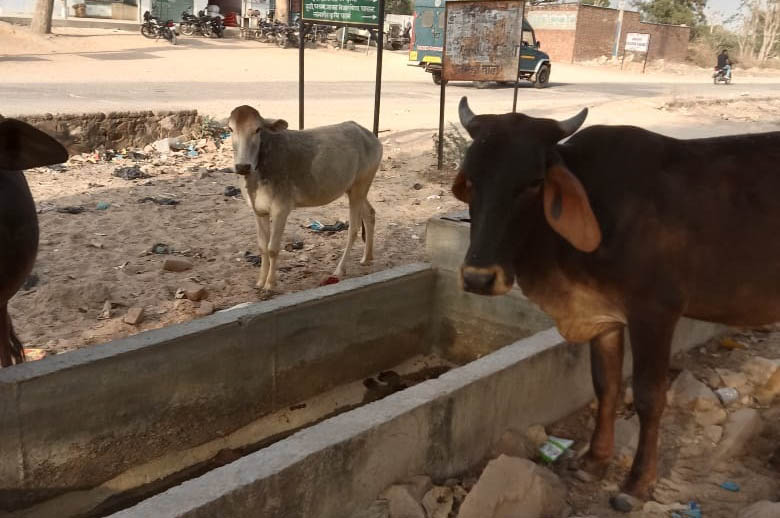 Sample Video